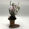 Dendrobium moniliforme Benibotan 홍모단 紅牡丹 (3)-3